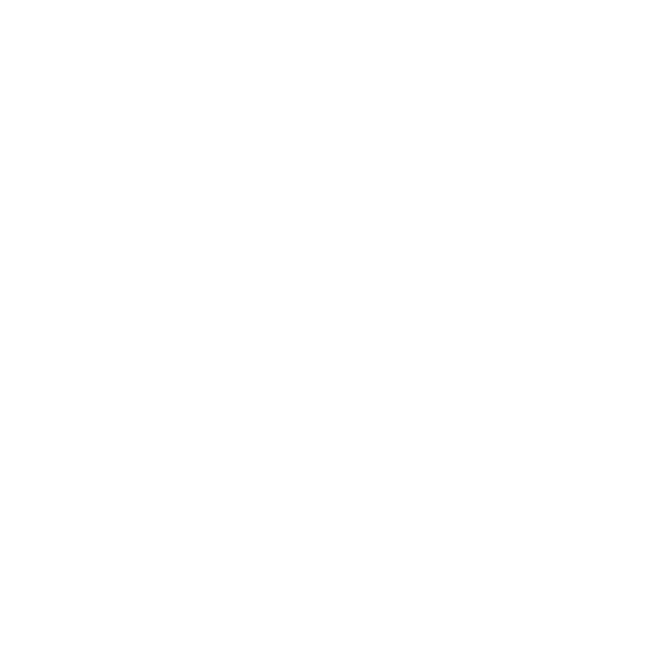 VONDERSCHMITT.IT